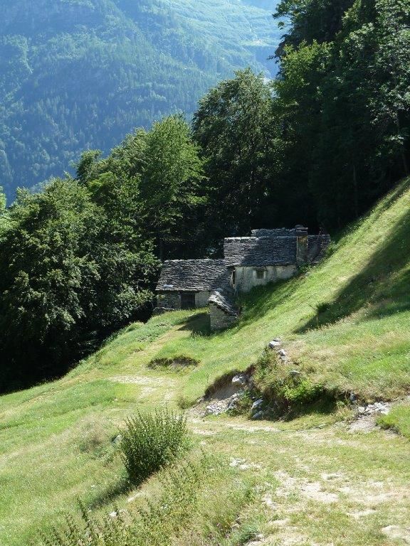Vendita Casa Indipendente Casa/Villa Trasquera Via Alpi Lepontine, 3 356398